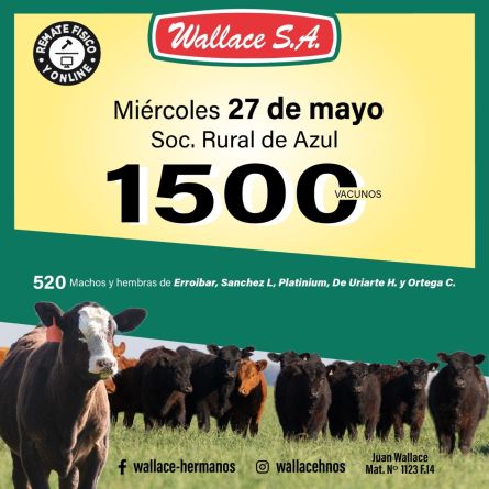 Wallace - Azul - Miercoles 20 de Mayo