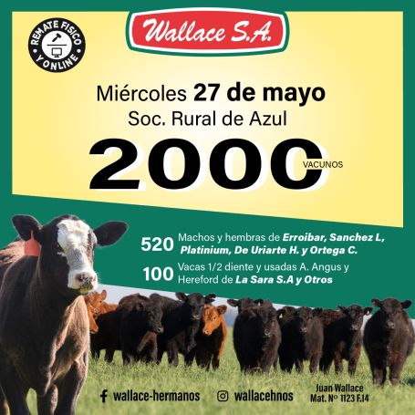 Wallace - Azul - Miercoles 20 de Mayo