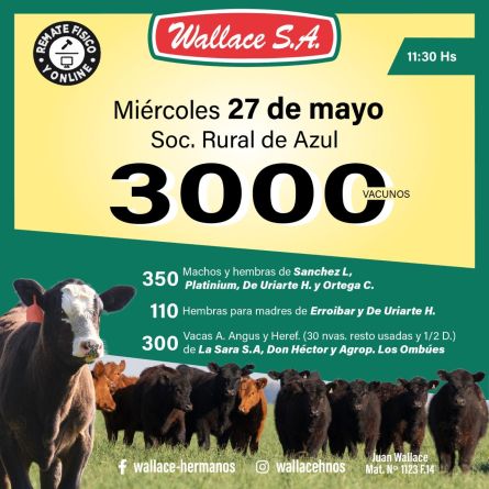 Wallace - Azul - Miercoles 20 de Mayo