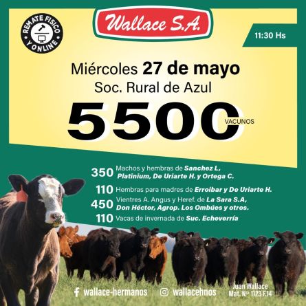 Wallace - Azul - Miercoles 20 de Mayo