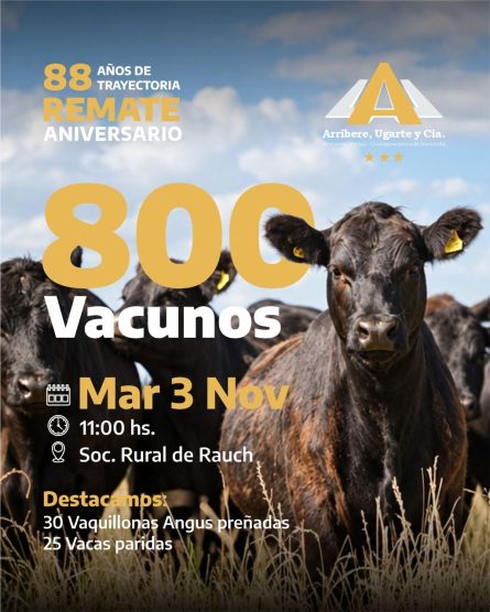 Arribere Ugarte - Rauch - Martes 03 de Noviembre