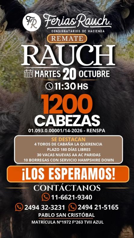 Ferias Rauch - Rauch - Martes 20 de Octubre