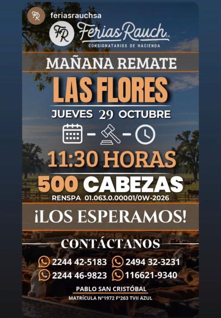 Ferias Rauch - Rauch - Jueves 29 de Octubre