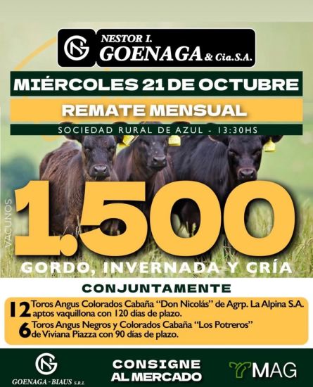 Nestor I Goenaga - Azul - Miercoles 21 de Octubre