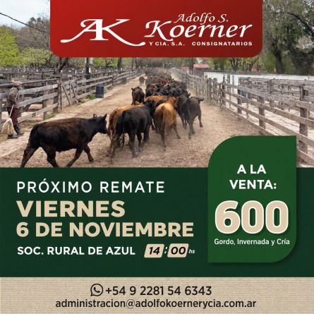 Adolfo S Koerner - Azul - Viernes 06 de Noviembre