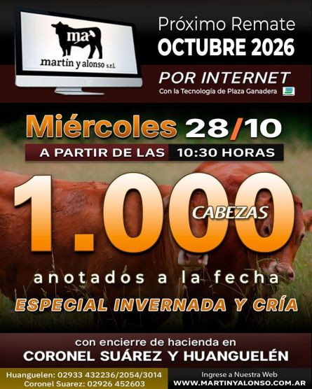 Martin y ALonso - Coronel Suarez - Miercoles 28 de Octubre