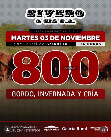 Sivero Sa - Saladillo - Martes 03 de Noviembre