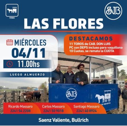 Saenz Valiente Bullrich - Las Flores - Miercoles 04 de Noviembre
