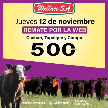 Wallace SA - Web - Jueves  12 de Noviembre