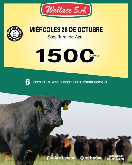 Wallace - Azul - Miercoles 28 de Octubre