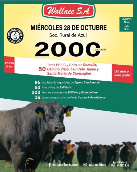 Wallace - Azul - Miercoles 28 de Octubre