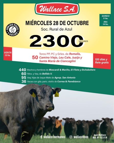 Wallace - Azul - Miercoles 28 de Octubre