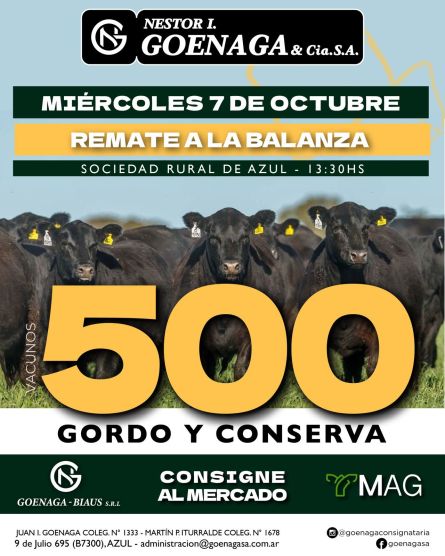 Nestor I Goenaga - Azul - Miercoles 07 de Octubre