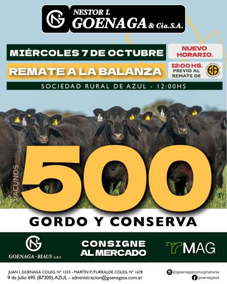Nestor I Goenaga - Azul - Miercoles 07 de Octubre