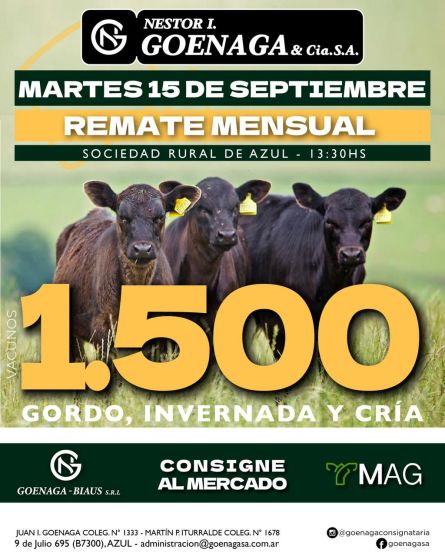 Nestor I Goenaga - Azul - martes 15 de Septiembre
