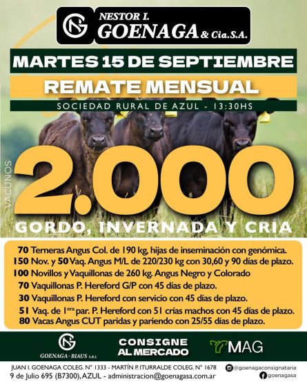 Nestor I Goenaga - Azul - martes 15 de Septiembre