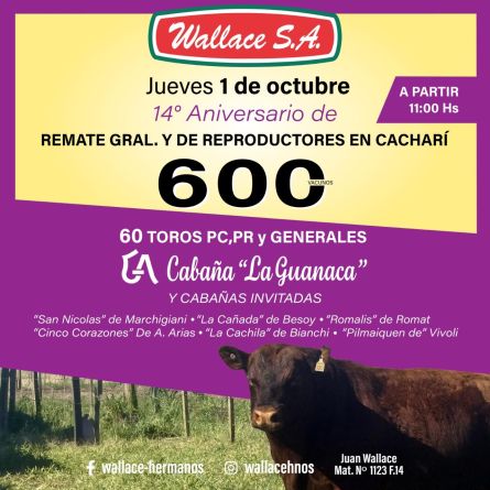 Wallace Sa - Cachari - Jueves 01 de Octubre