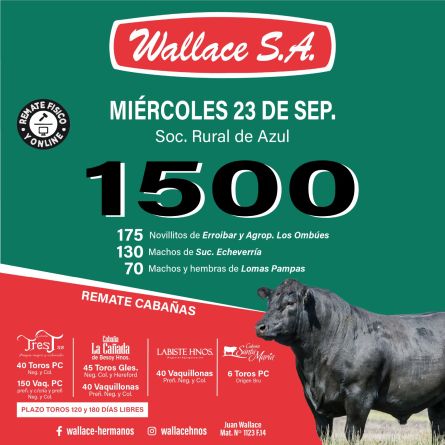 Wallace Sa - Azul - Miercoles 23 de Septiembre