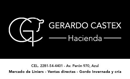 Gerardo Castex